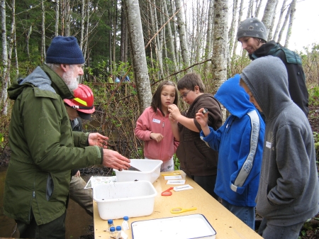Teaching the fine points of Stream Ecology