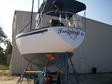 newest sailboat