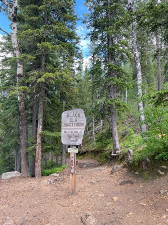 Black Elk Wilderness, Black Hills, SD