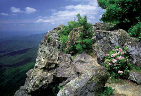 Blue Ridge Parkway  Virginia