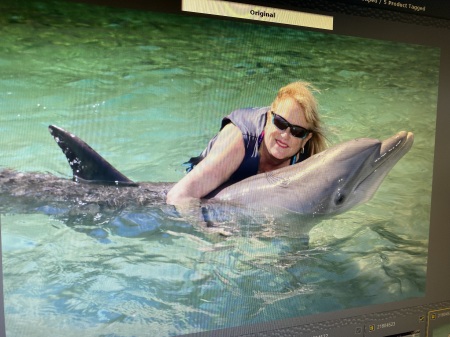 I’m gunna be a dolphin trainer in my next life