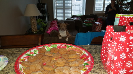 Sadie loves the cookies too