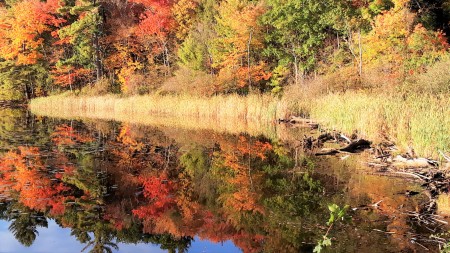 Fall 2019 in Western Mass