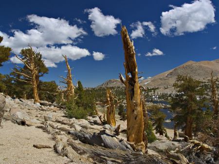 eastern sierra's my favorite camp site