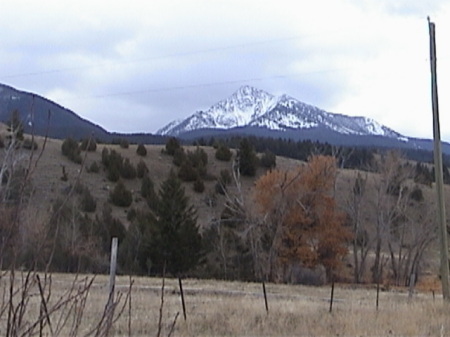 Strawberry Mountain  10,200 ft.