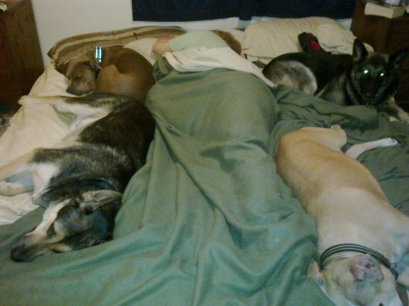 We need a bigger bed!