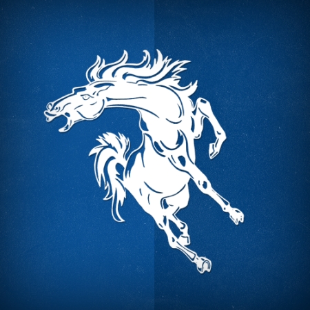 North Mesquite High School Logo Photo Album