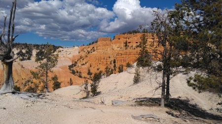 Thunder Mt. trail