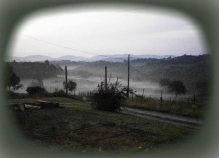 Morning Mist from my front porch