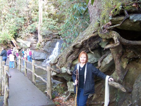 Hiking the waterfalls