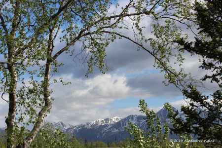 Beautiful view from our back deck.