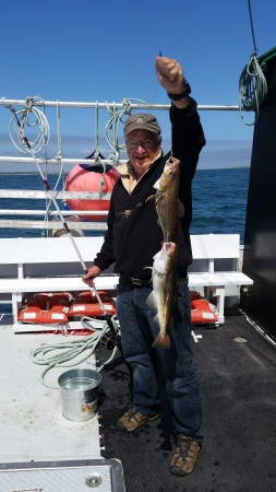 Two cod on one cast