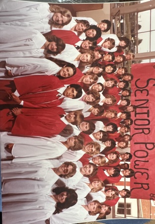 Sheila Sullivan's Classmates profile album