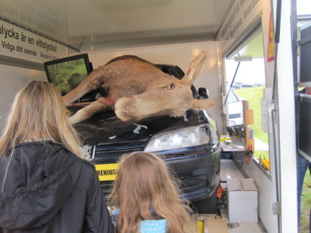 Mishap on the road in Northern Sweden