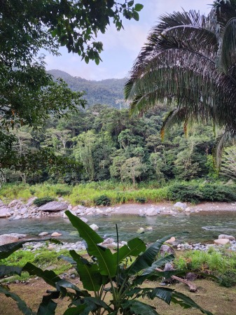 Honduras