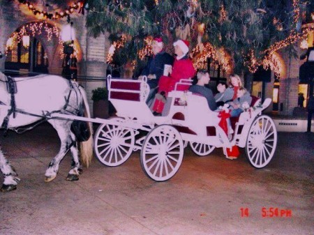 Carriage at Christmas time