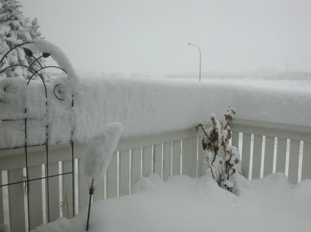 Highlands Ranch Blizzard 2003