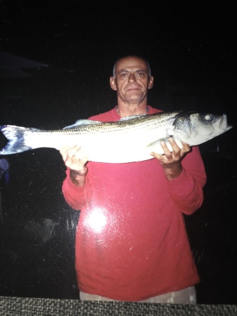 Striper