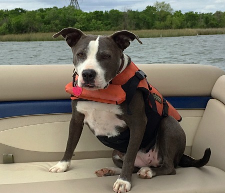 Lexi on our boat