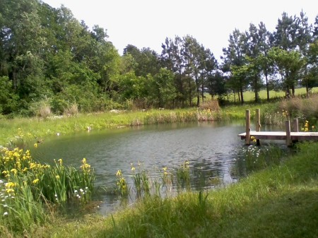 My fishing pond