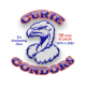 Curie High School 50th Reunion reunion event on Jun 1, 2025 image