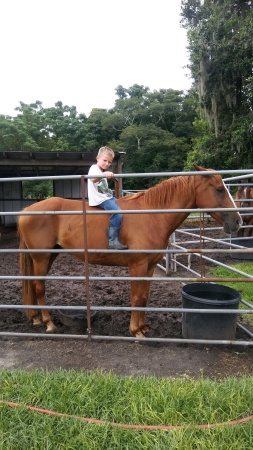 grandson colt on his favorite horse buster