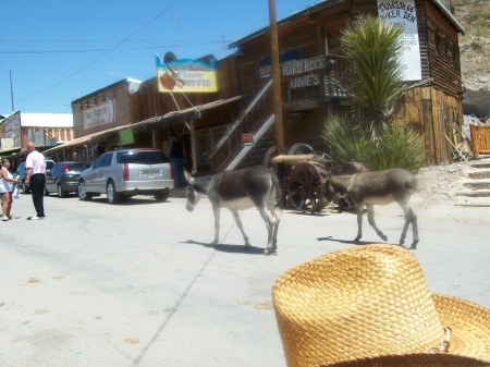 Oatman mining Town