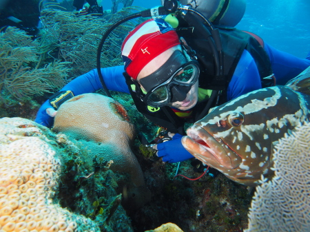 My grouper friend, Little Cayman