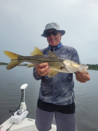 Small snook Crystal River Florida 