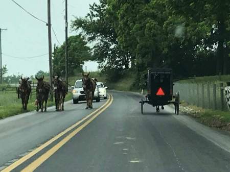 Commuter traffic in Lancaster PA. Lol