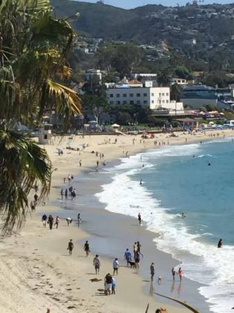 Laguna Beach