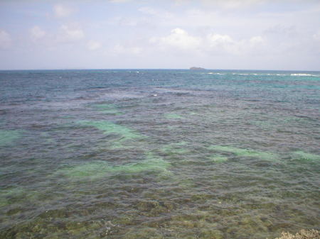 Seaside view, St. BARTS ISLAND