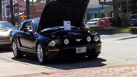 Stang in Daytona