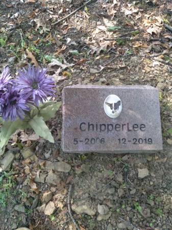 Chipper lees grave stone