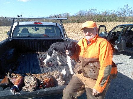 Pheasant Hunting