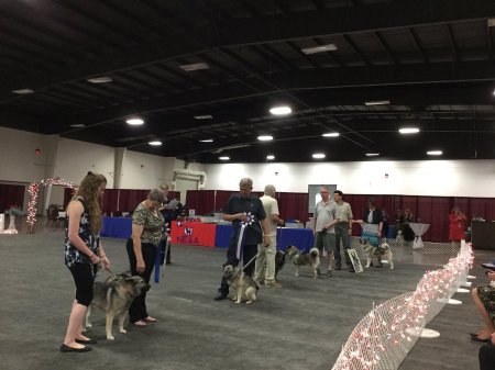 Rescue Parade at Nationals