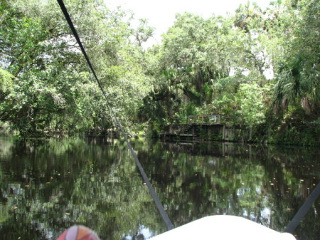 Tom Bridges' album, Kissimmee River July 21-29, 2013