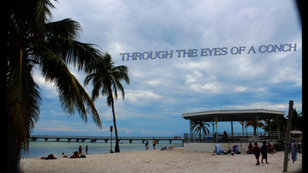 Henry Fuller's album, key west