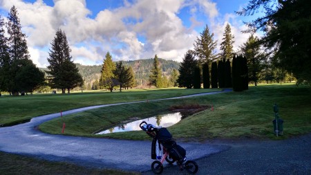 Snoqualmie Falls Golf