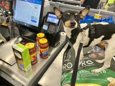 Shopping at Walmart 