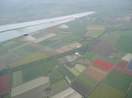 Flying over the tulip fields Amsterdam, NL