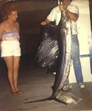 50 Pound Sailfish