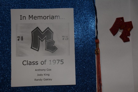 Joel Carr's album, 1975 class McGavock Reunion 