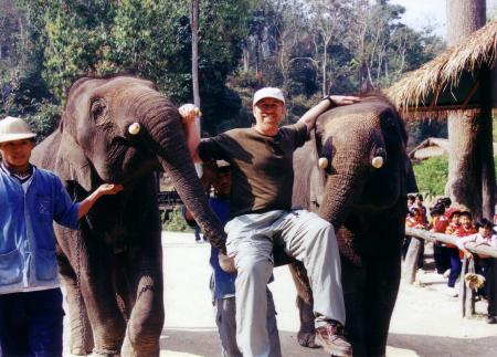 Elephant camp, northern Thailand