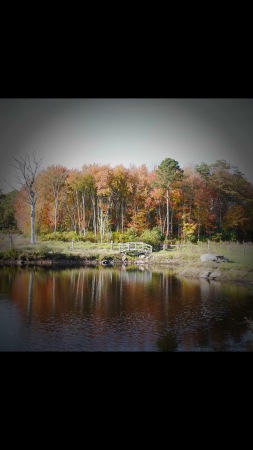 The Farm just beautiful!