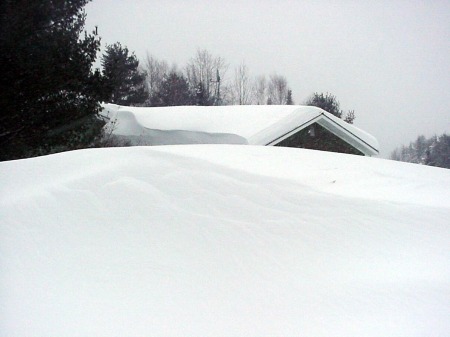 We get plenty of snow in Eden Mills, VT