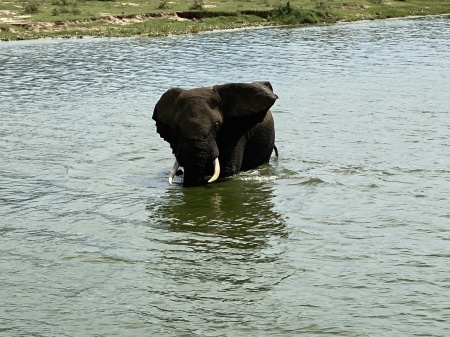 Queen Elizabeth Natl Park, Uganda