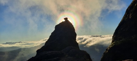 Saddle Mtn Oregon Rock Guardian