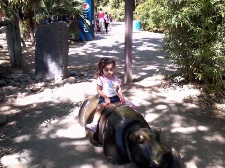 JELLYBELLY AT THE ZOO