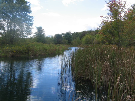 our pond, LAST year, lets go Spring!!!